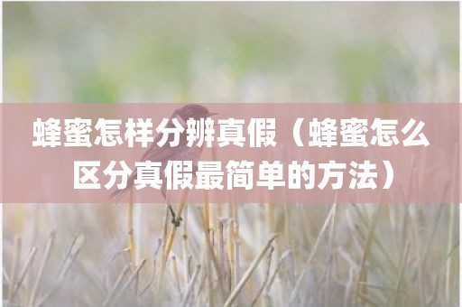 蜂蜜怎样分辨真假（蜂蜜怎么区分真假最简单的方法）