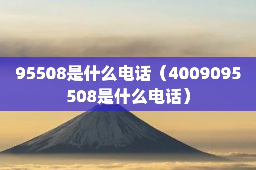 95508是什么电话（4009095508是什么电话）