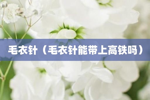 毛衣针(毛衣针能带上高铁吗)