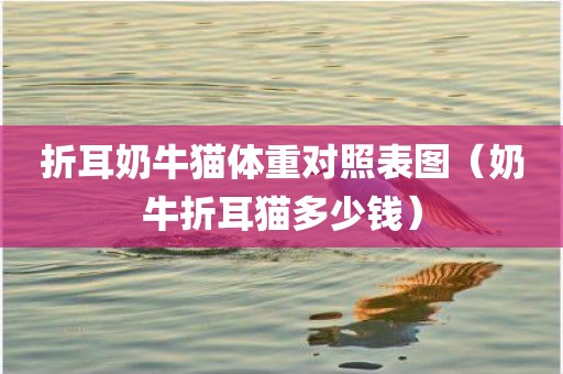 折耳奶牛猫体重对照表图（奶牛折耳猫多少钱）