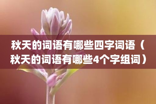 秋天的词语有哪些四字词语（秋天的词语有哪些4个字组词）