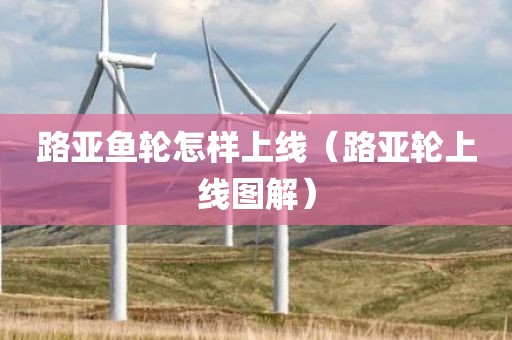路亚鱼轮怎样上线（路亚轮上线图解）