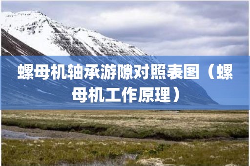 螺母机轴承游隙对照表图（螺母机工作原理）