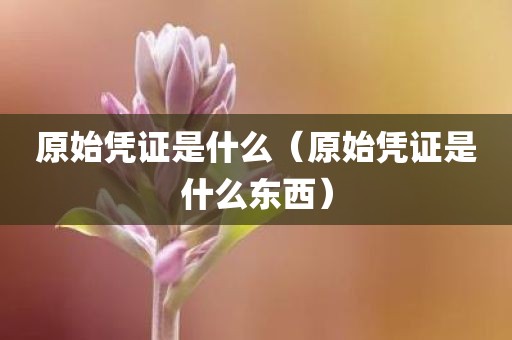 原始凭证是什么（原始凭证是什么东西）