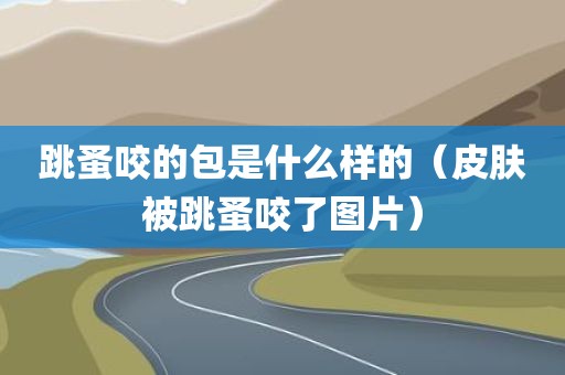 跳蚤咬的包是什么样的（皮肤被跳蚤咬了图片）