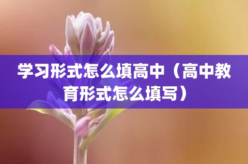 学习形式怎么填高中(高中教育形式怎么填写)