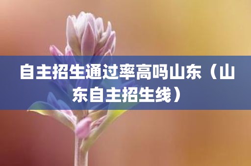 自主招生通过率高吗山东（山东自主招生线）
