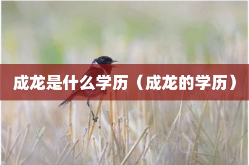 成龙是什么学历（成龙的学历）
