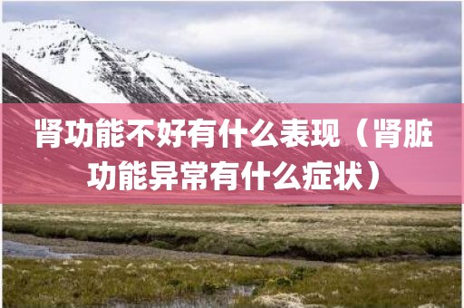 肾功能不好有什么表现（肾脏功能异常有什么症状）