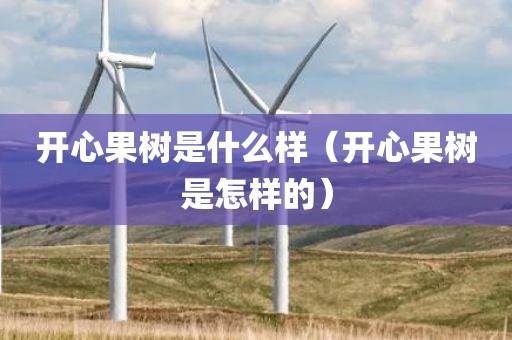 开心果树是什么样(开心果树是怎样的) 开心果树是什么样(开心果树是怎样的)
