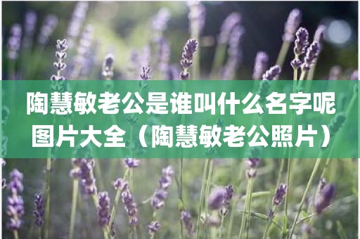 陶慧敏老公是谁叫什么名字呢图片大全（陶慧敏老公照片）