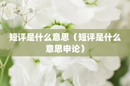 短评是什么意思（短评是什么意思申论）