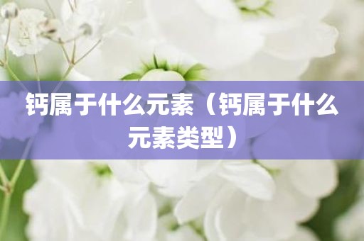 钙属于什么元素（钙属于什么元素类型）