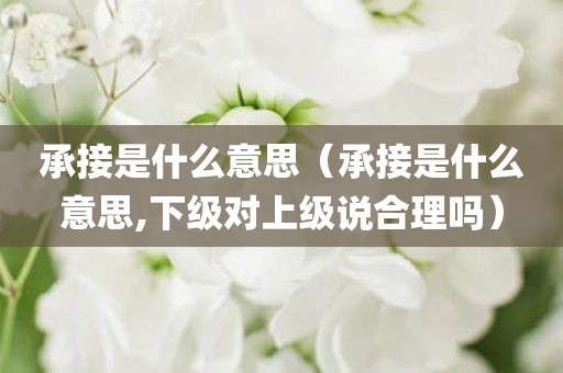 承接是什么意思（承接是什么意思,下级对上级说合理吗）