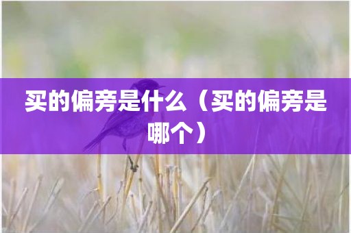 买的偏旁是什么（买的偏旁是哪个）