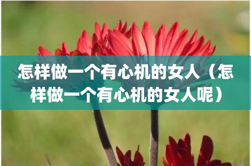 怎样做一个有心机的女人（怎样做一个有心机的女人呢）