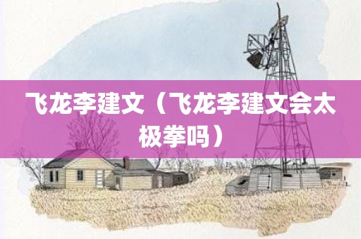飞龙李建文（飞龙李建文会太极拳吗）