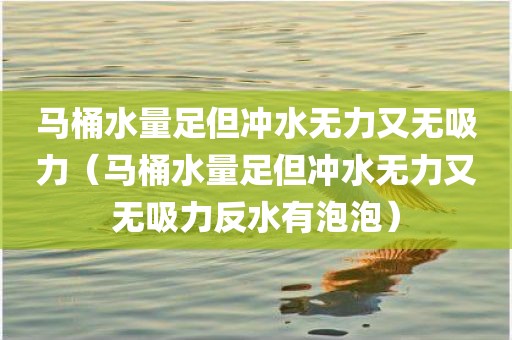 马桶水量足但冲水无力又无吸力（马桶水量足但冲水无力又无吸力反水有泡泡）