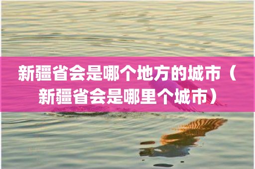 新疆省会是哪个地方的城市（新疆省会是哪里个城市）