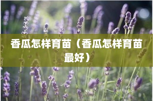 香瓜怎样育苗（香瓜怎样育苗最好）