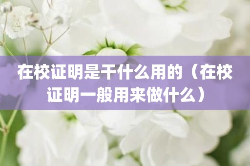 在校证明是干什么用的（在校证明一般用来做什么）