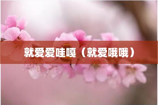 就爱爱哇嘎（就爱哦哦）