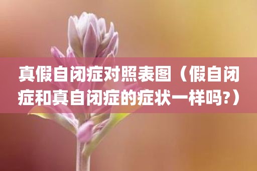 真假自闭症对照表图（假自闭症和真自闭症的症状一样吗?）
