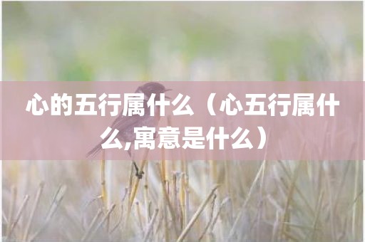 心的五行属什么（心五行属什么,寓意是什么）