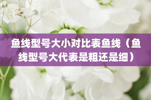 鱼线型号大小对比表鱼线（鱼线型号大代表是粗还是细）