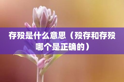 存殁是什么意思(殁存和存殁哪个是正确的)