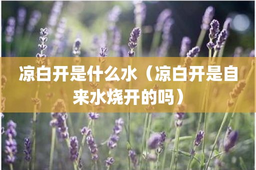 凉白开是什么水(凉白开是自来水烧开的吗) 凉白开是什么水(凉白开是自来水烧开的吗)
