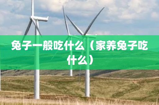 兔子一般吃什么（家养兔子吃什么）