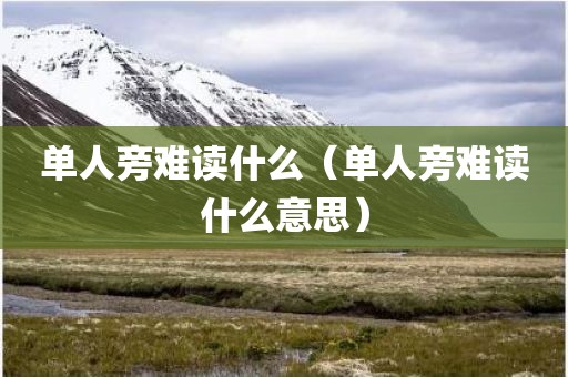 单人旁难读什么（单人旁难读什么意思）
