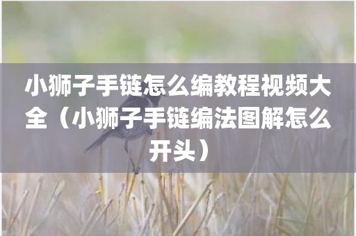 小狮子手链怎么编教程视频大全（小狮子手链编法图解怎么开头）