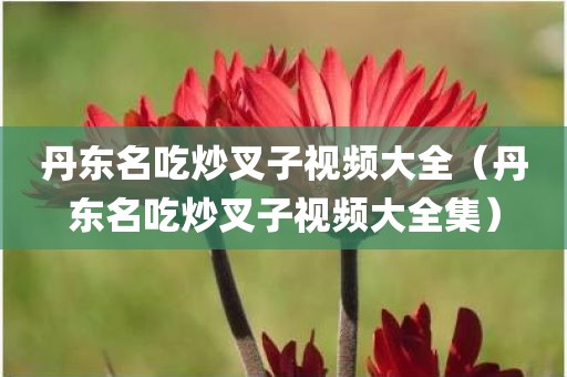 丹东名吃炒叉子视频大全（丹东名吃炒叉子视频大全集）