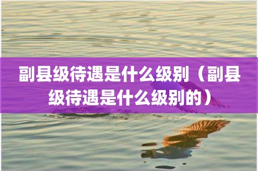 副县级待遇是什么级别（副县级待遇是什么级别的）