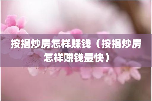 按揭炒房怎样赚钱（按揭炒房怎样赚钱最快）
