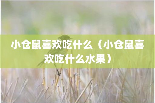 小仓鼠喜欢吃什么（小仓鼠喜欢吃什么水果）
