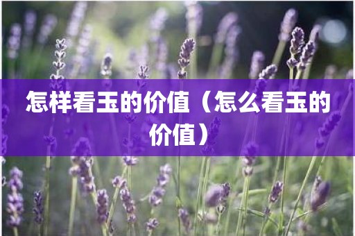 怎样看玉的价值（怎么看玉的价值）