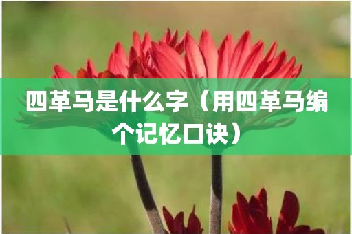 四革马是什么字（用四革马编个记忆口诀）