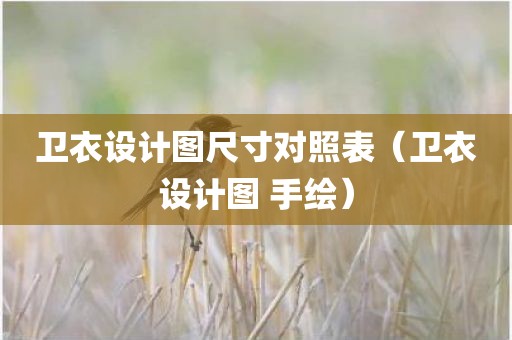 卫衣设计图尺寸对照表（卫衣设计图 手绘）