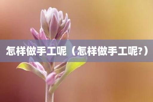 怎样做手工呢（怎样做手工呢?）