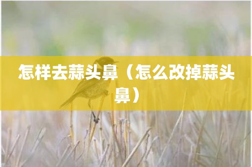 怎样去蒜头鼻（怎么改掉蒜头鼻）