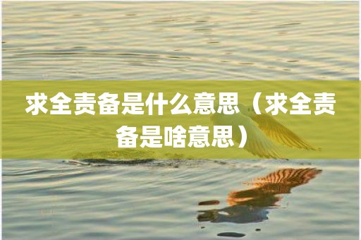 求全责备是什么意思（求全责备是啥意思）