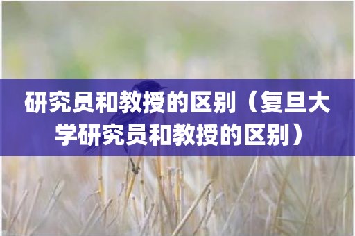 研究员和教授的区别（复旦大学研究员和教授的区别）