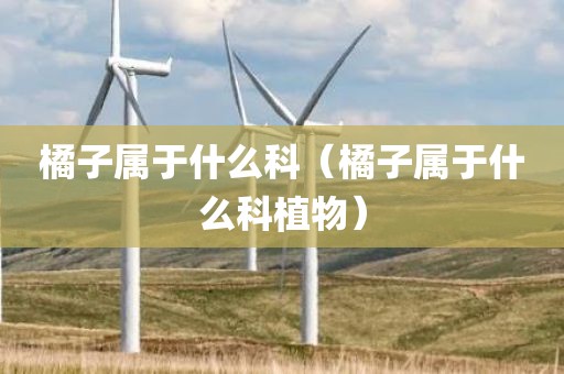 橘子属于什么科（橘子属于什么科植物）