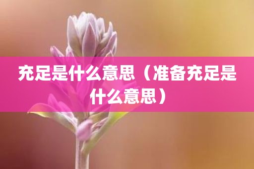 充足是什么意思（准备充足是什么意思）