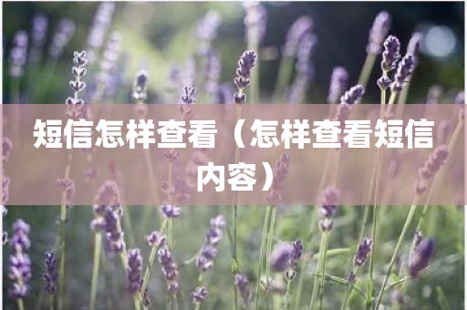 短信怎样查看（怎样查看短信内容）