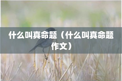 什么叫真命题（什么叫真命题作文）