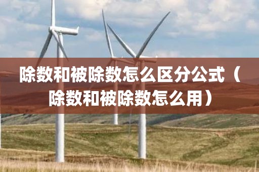 除数和被除数怎么区分公式（除数和被除数怎么用）